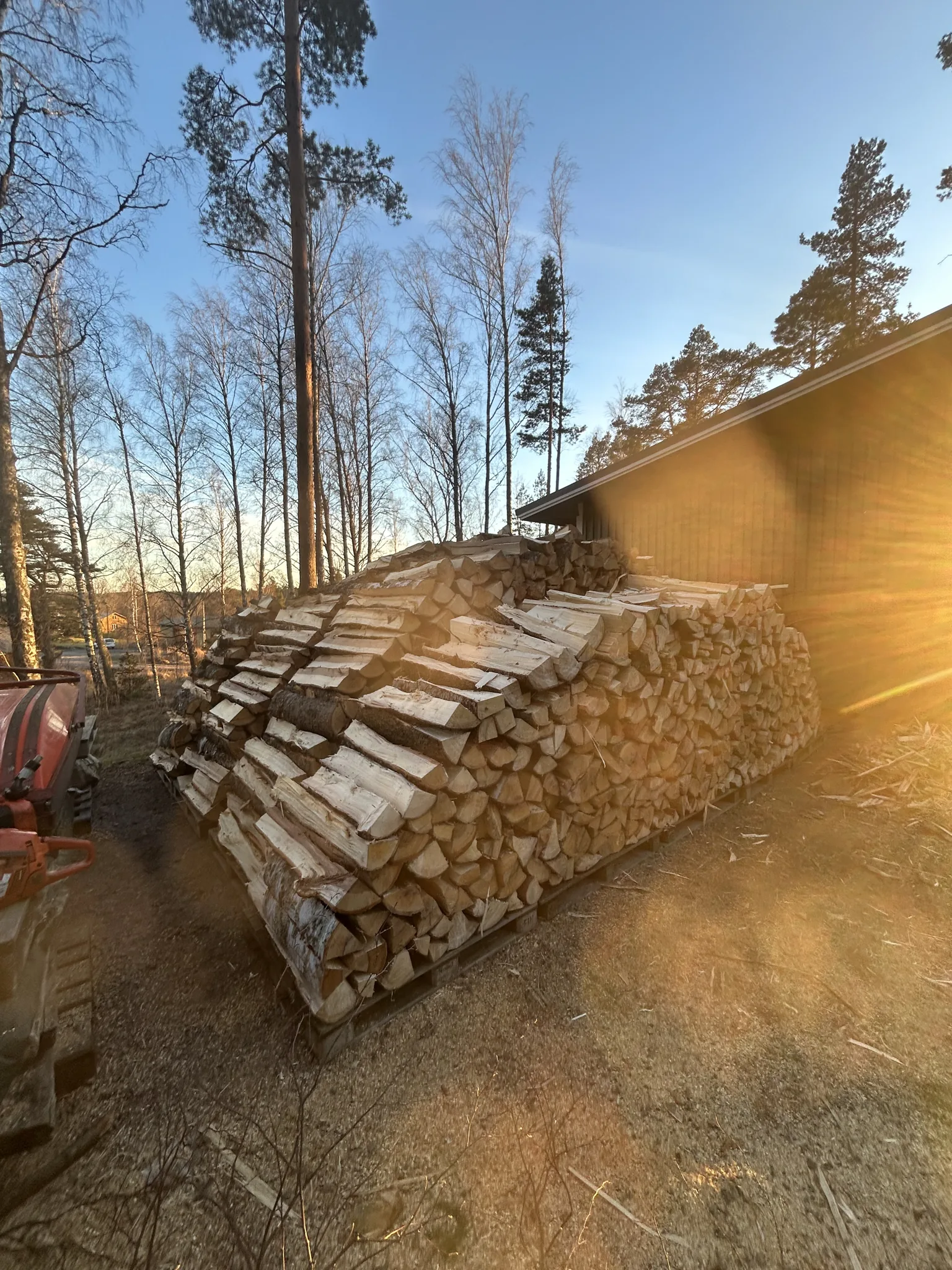 Pinottu klapipino polttopuita – Saaristotarhuri metsurintyöt