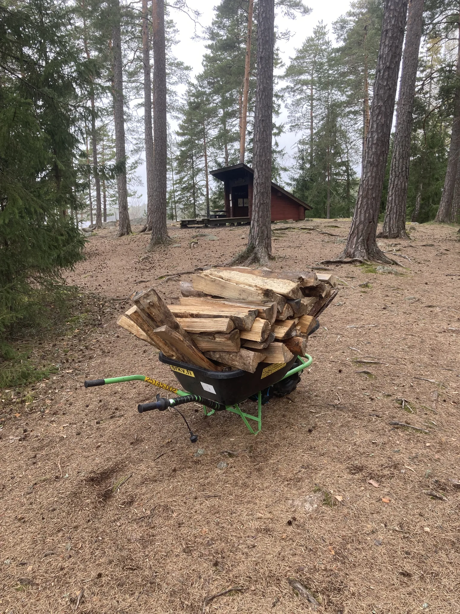 Polttopuiden kuljetus kottikärryllä metsässä – Saaristotarhuri metsurintyöt