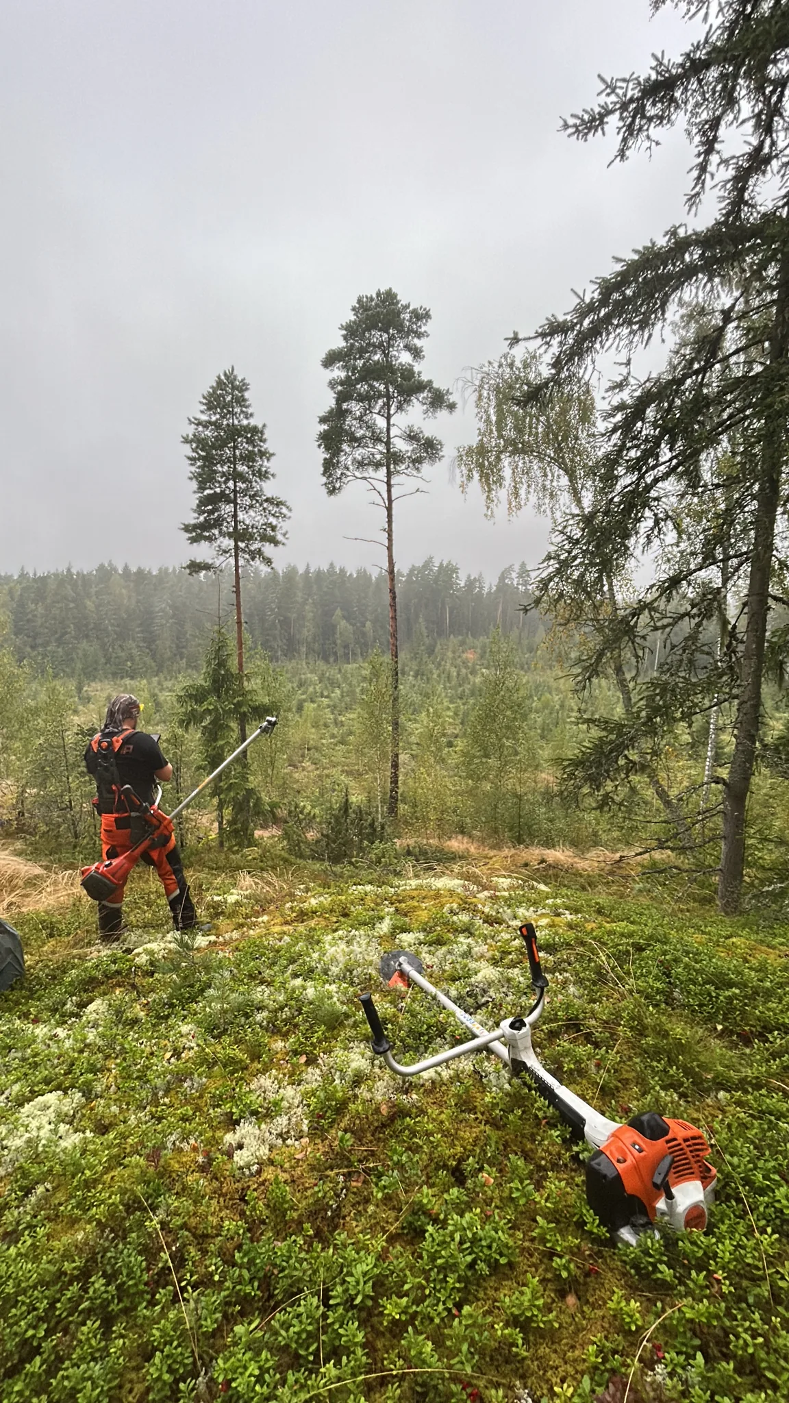 Raivaussahaus ja maaston raivaus – Saaristotarhuri metsurintyöt