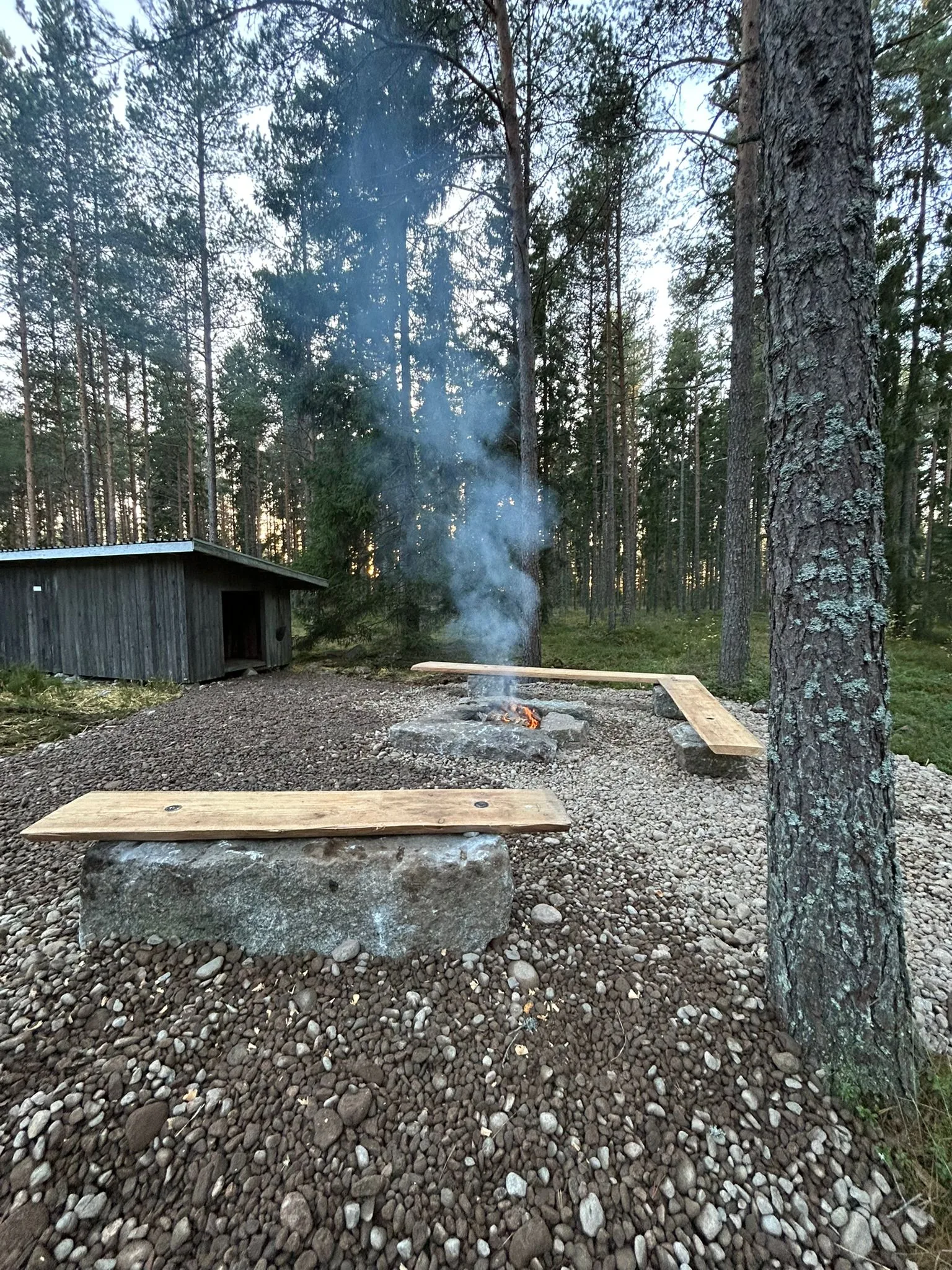 Rakennettu nuotiopaikka ja laavu metsässä – Saaristotarhuri rakennuspalvelut